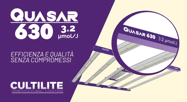 BLOG-quasar32-ita-03