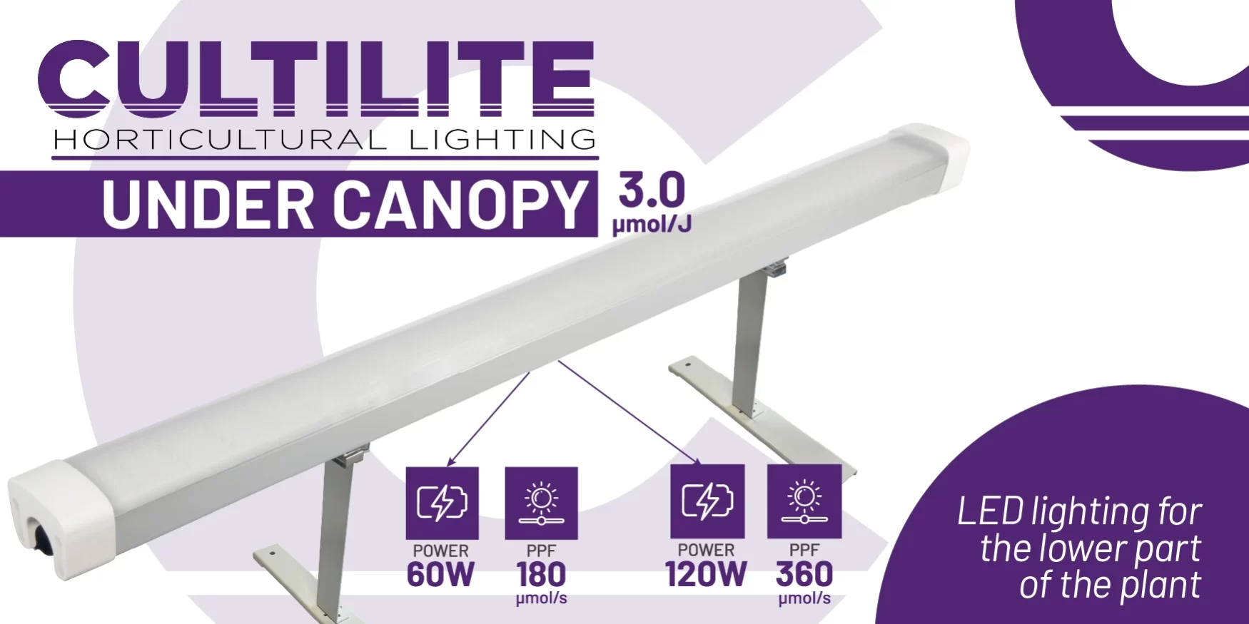 BLOG-under-canopy-ENG-03